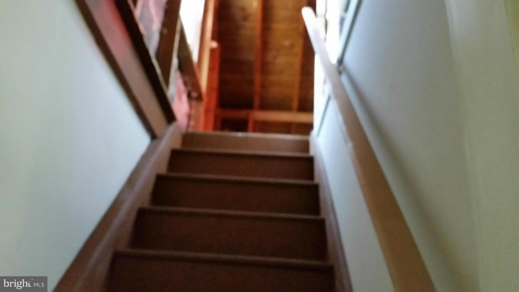 114 Hamilton Avenue Silver Spring, MD 20901 - Photo 17 of 25 Interior (General)