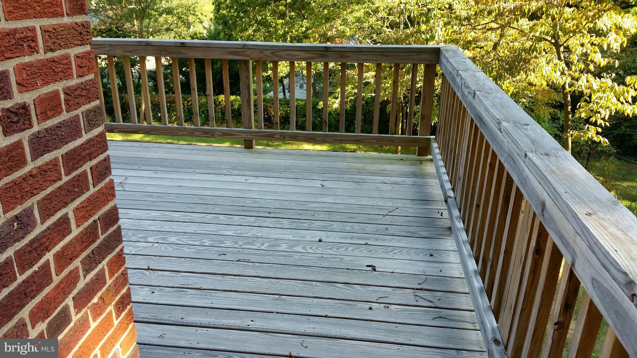 114 Hamilton Avenue Silver Spring, MD 20901 - Photo 4 of 25 Exterior (Rear)