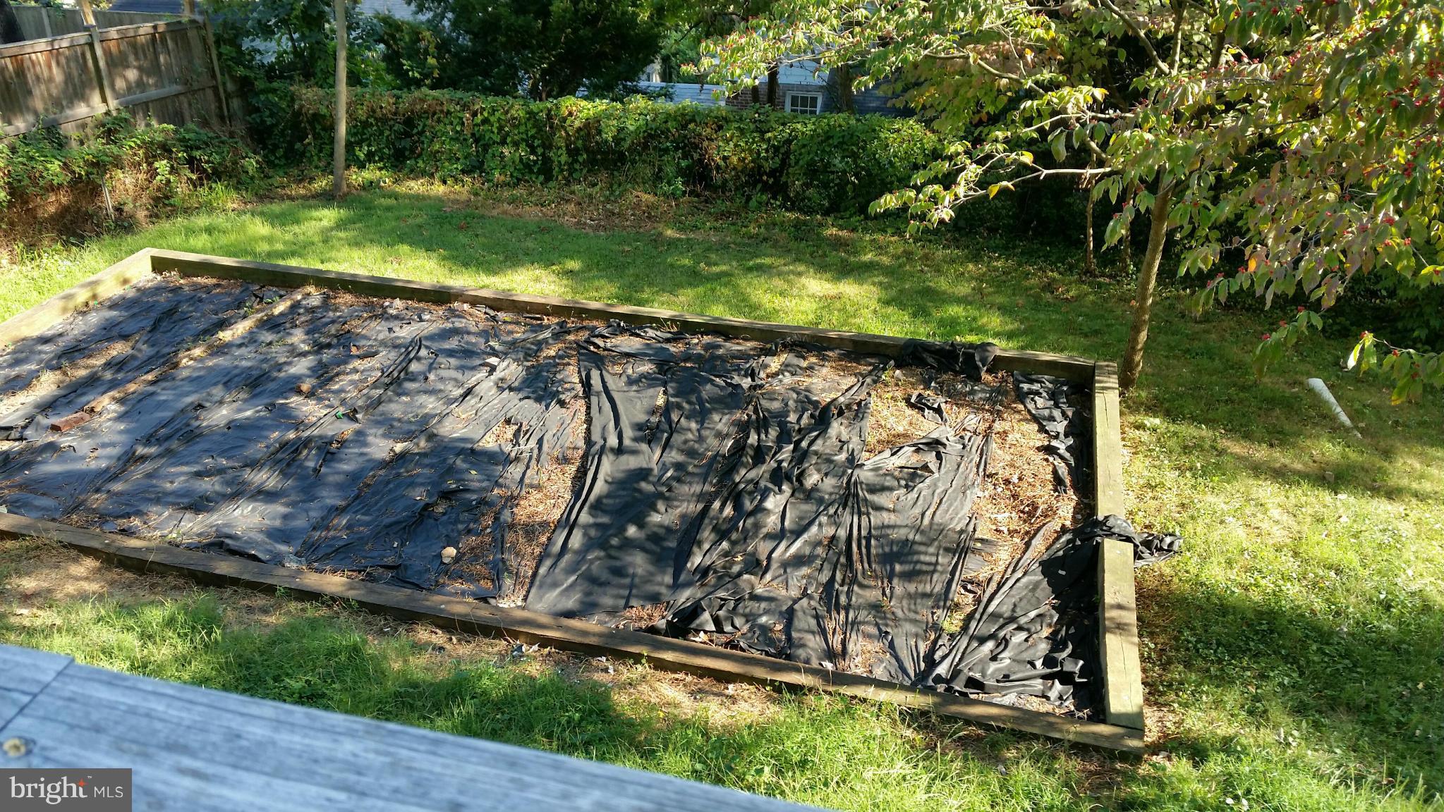 114 Hamilton Avenue Silver Spring, MD 20901 - Photo 6 of 25 Exterior (Rear)