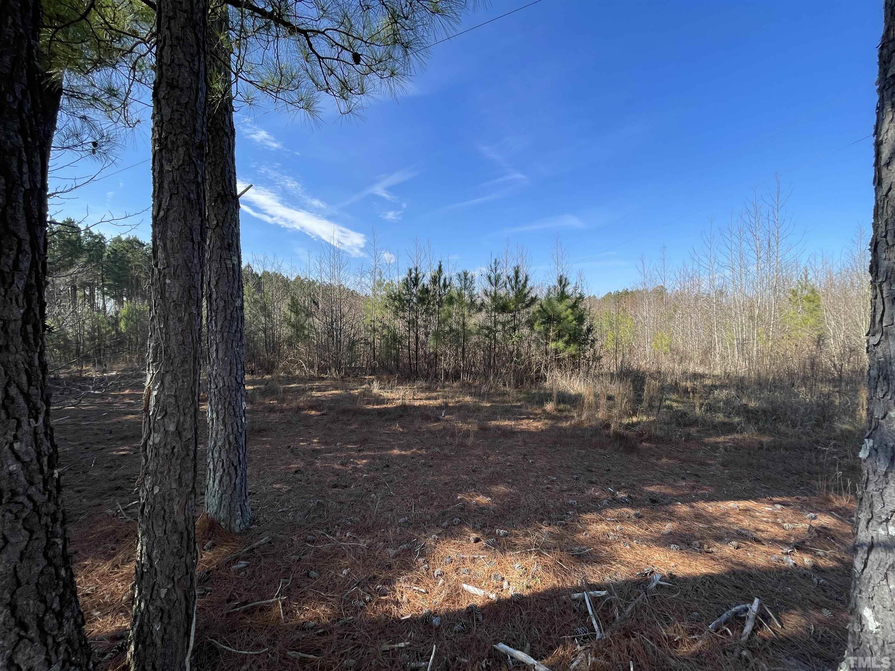 2 A Lettuce Hall Rd Spring Spring Hope, NC 27882 - Photo 2 of 7 a view of a yard with an tree