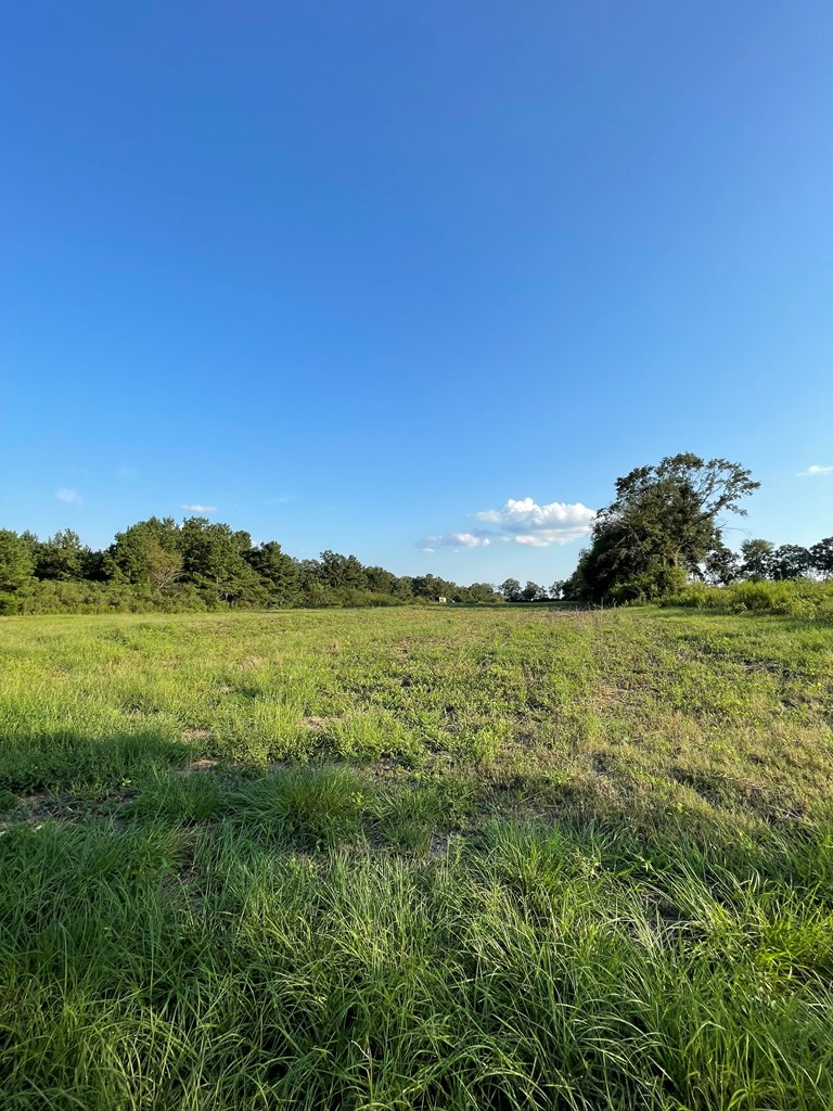 0 Thomley Road Newton, AL 36352 - Photo 2 of 8