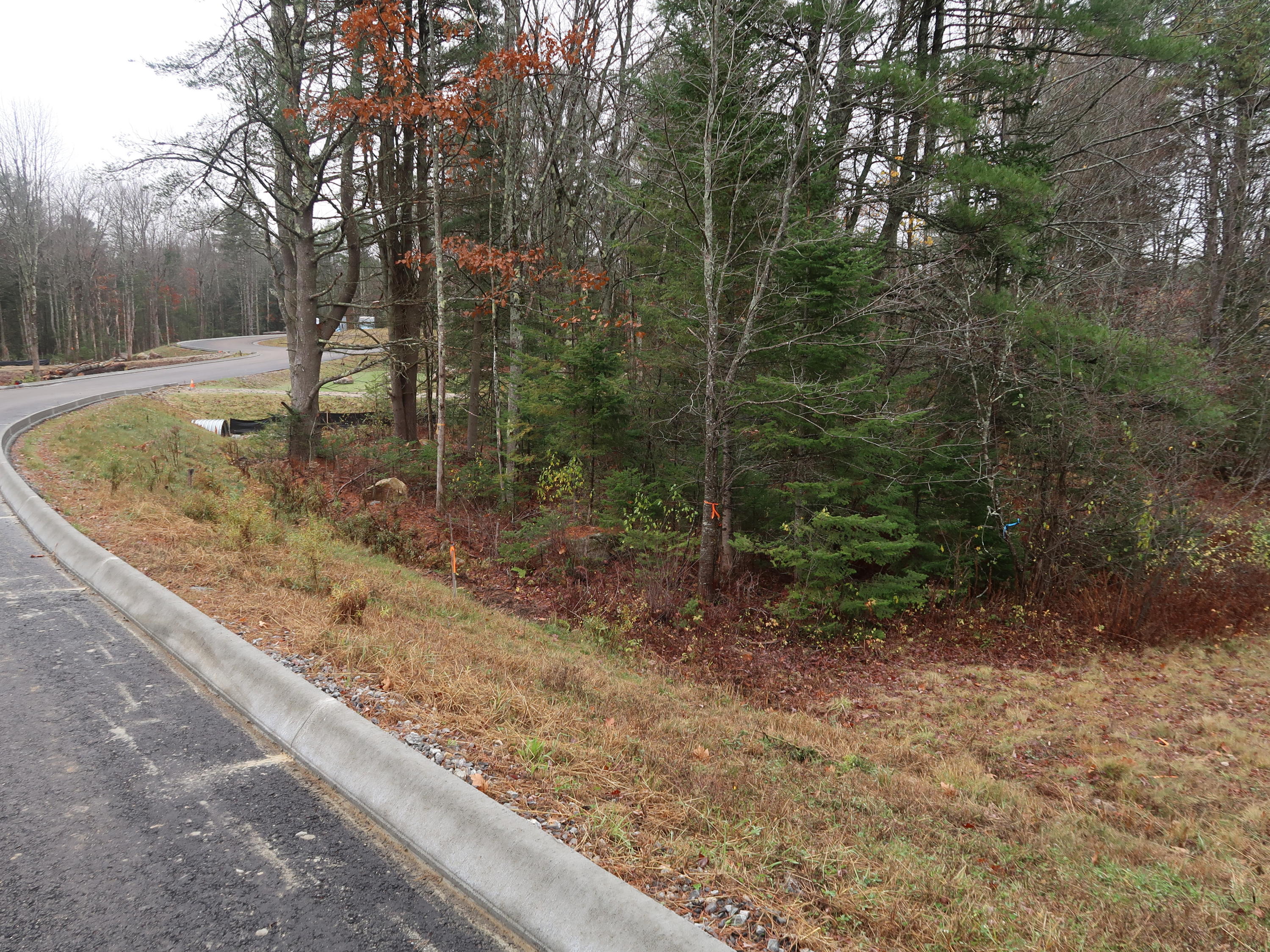 16 Renee Road Freeport, ME 04032 - Photo 2 of 17 IMG_0502