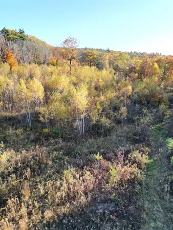 $349,000 | 0 Black North Road, Acworth, NH 03601