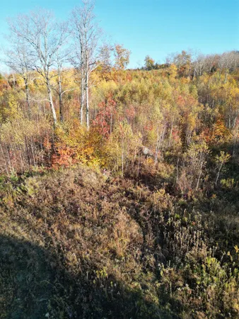 $349,000 | 0 Black North Road, Acworth, NH 03601