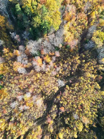 $349,000 | 0 Black North Road, Acworth, NH 03601