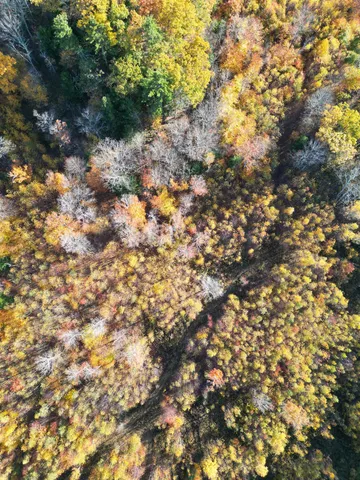 $349,000 | 0 Black North Road, Acworth, NH 03601