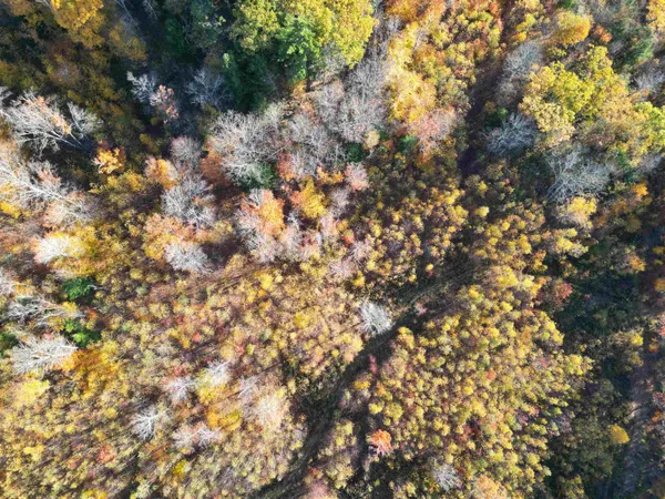 $349,000 | 0 Black North Road, Acworth, NH 03601