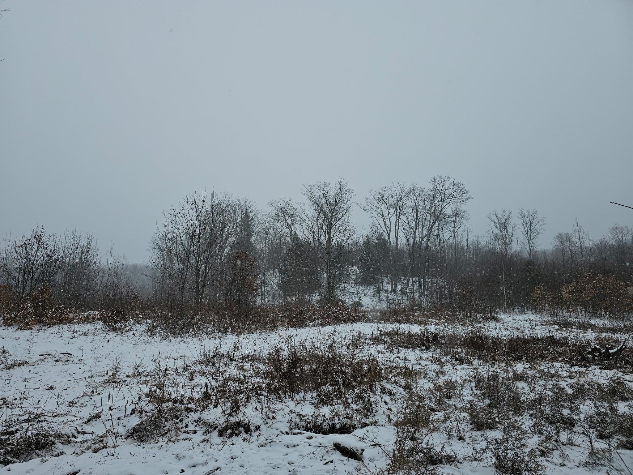 0 Black North Road Acworth, NH 03601 - Photo 5 of 35