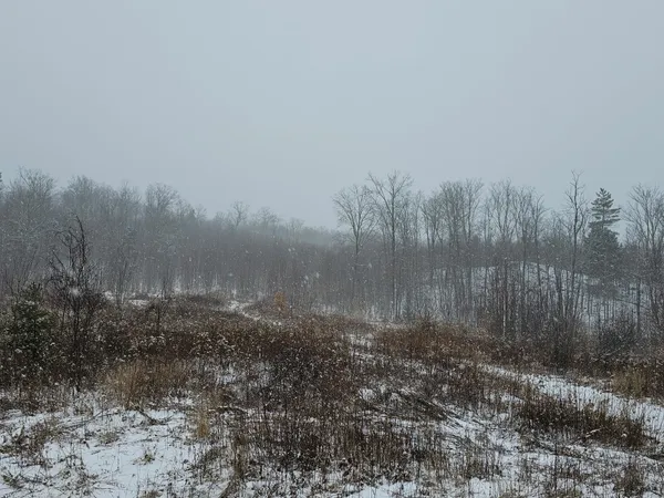 $349,000 | 0 Black North Road, Acworth, NH 03601