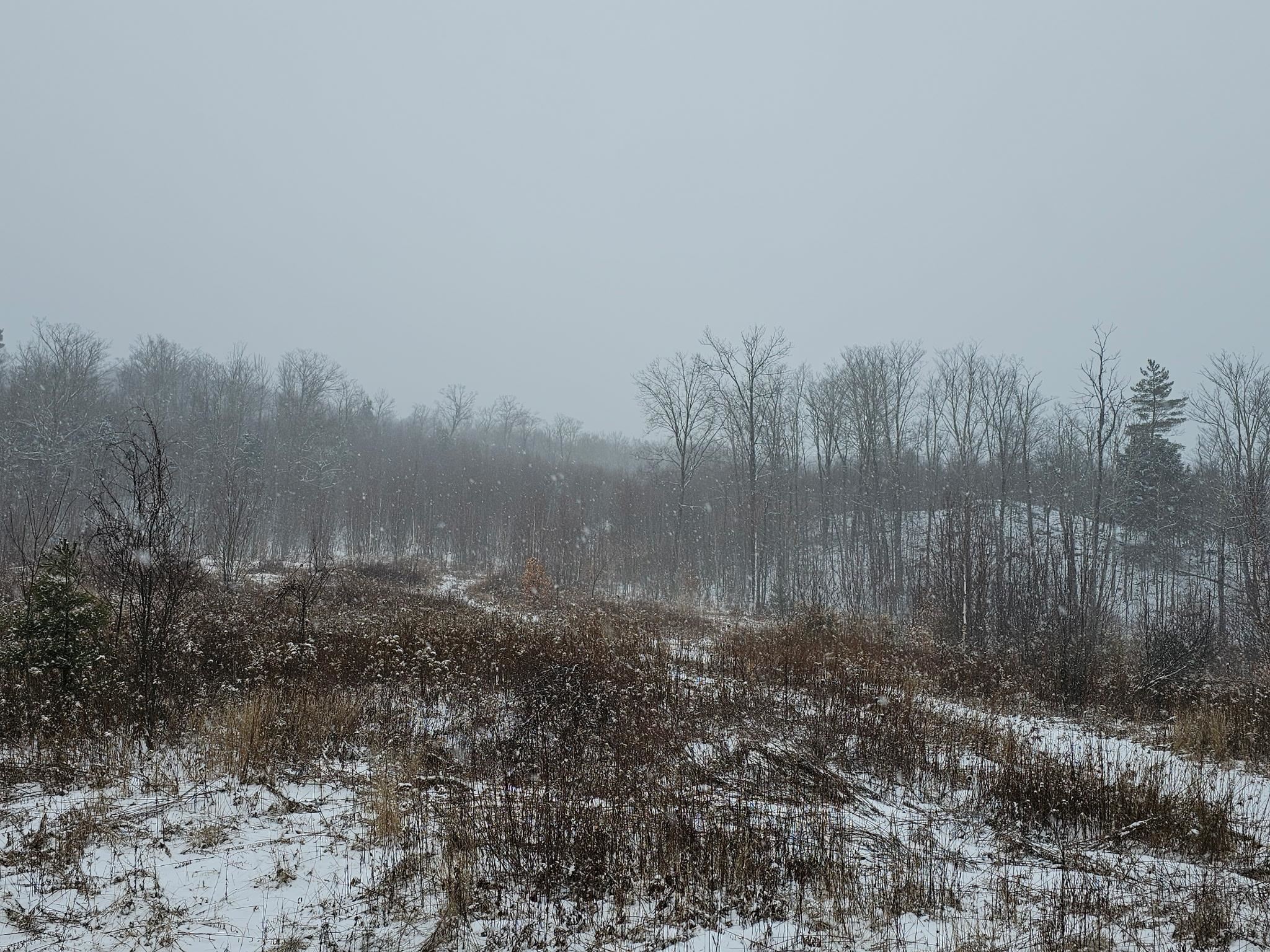 0 Black North Road Acworth, NH 03601 - Photo 7 of 35