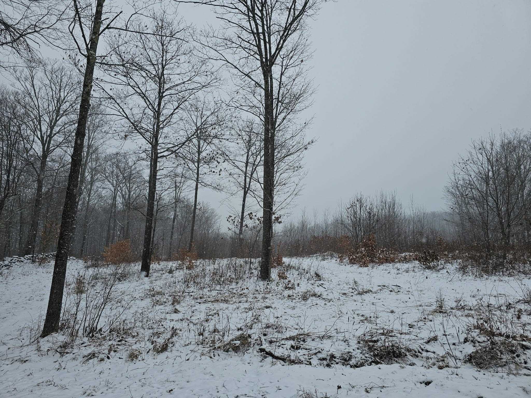 0 Black North Road Acworth, NH 03601 - Photo 7 of 35