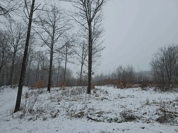 $349,000 | 0 Black North Road, Acworth, NH 03601