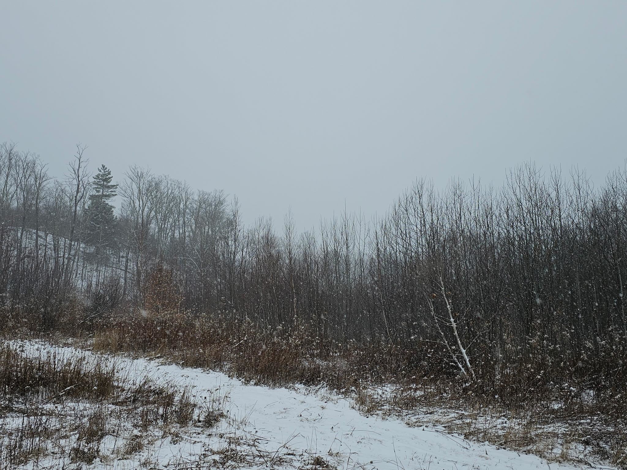 0 Black North Road Acworth, NH 03601 - Photo 8 of 35