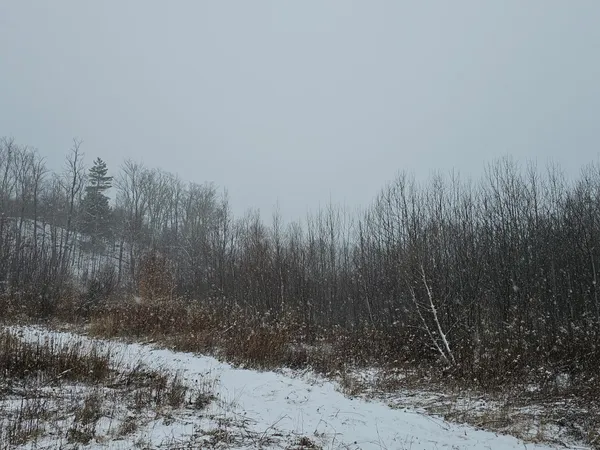 $349,000 | 0 Black North Road, Acworth, NH 03601