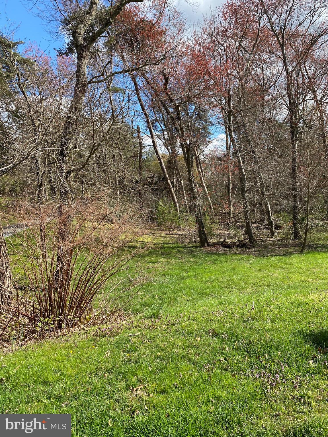 434 Greentree Road Sewell, NJ 08080 - Photo 14 of 19 VERY PRIVATE