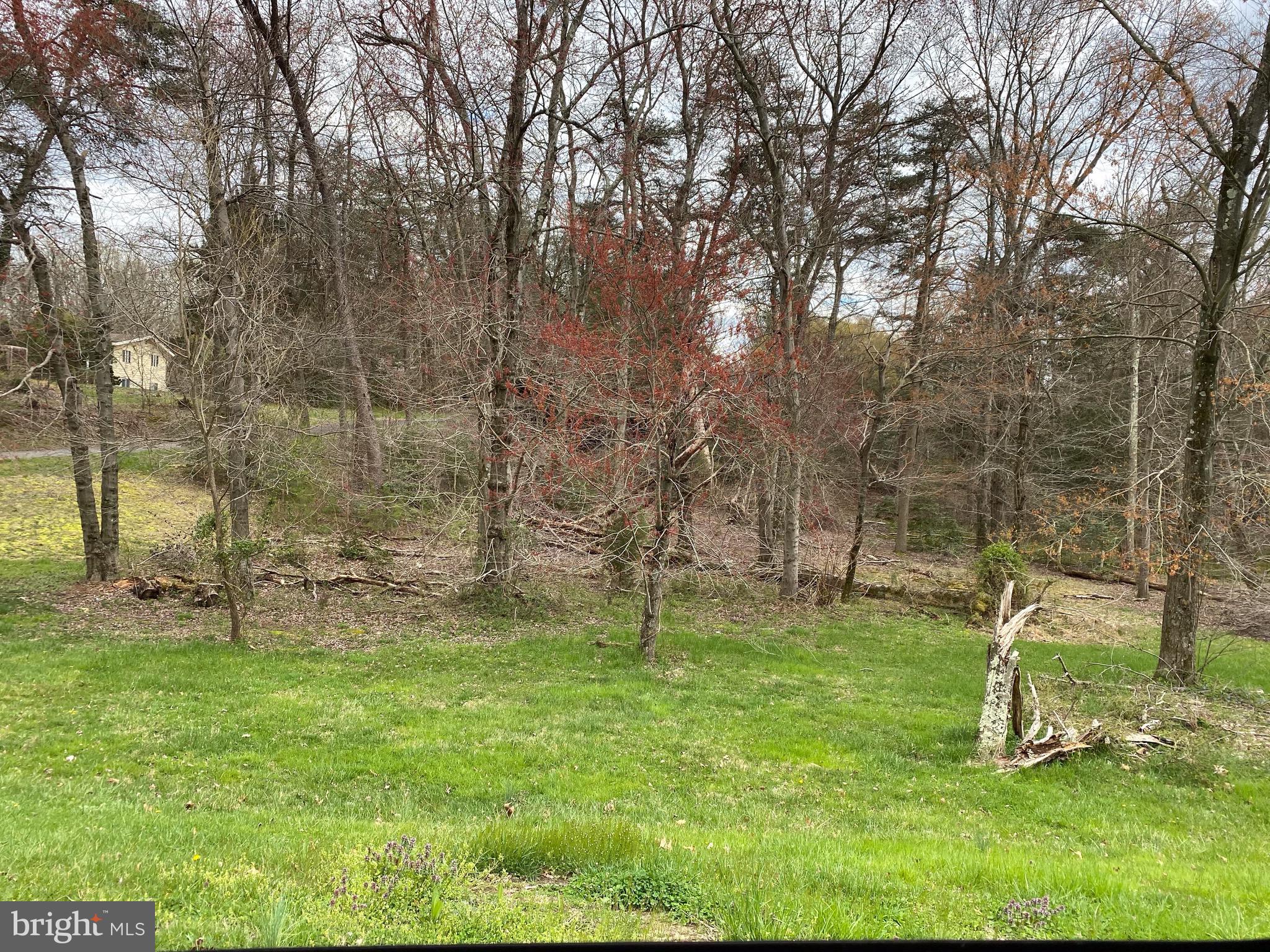 434 Greentree Road Sewell, NJ 08080 - Photo 15 of 19 OVER 4 ACRES OF LAND