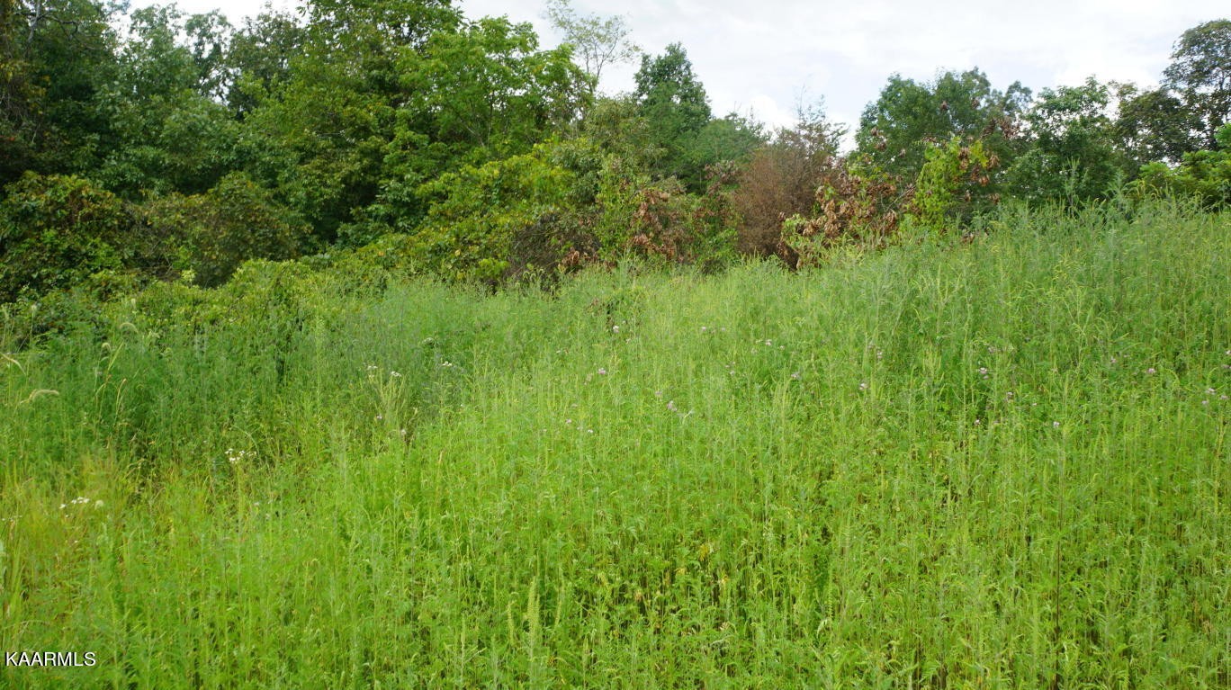 14902 Lantana Road Crossville, TN 38572 - Photo 14 of 16 Gallery Image 14