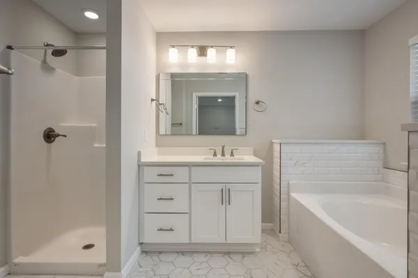 a bathroom with a bathtub shower sink vanity and mirror
