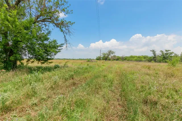 a view of a big yard with large trees