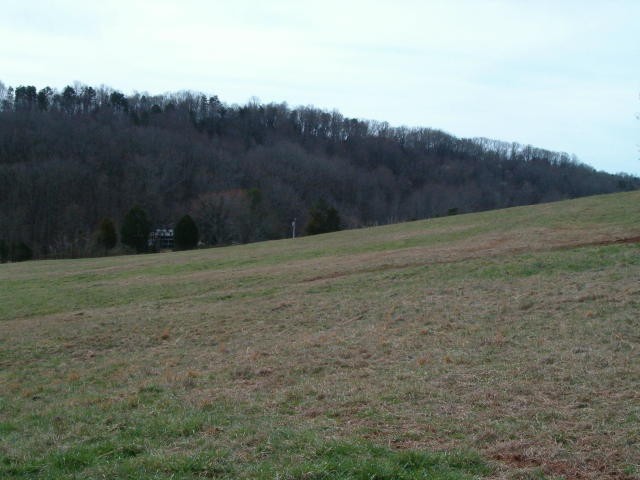 369 Craighead Road Madisonville, TN 37354 - Photo 2 of 32 Gallery Image 2