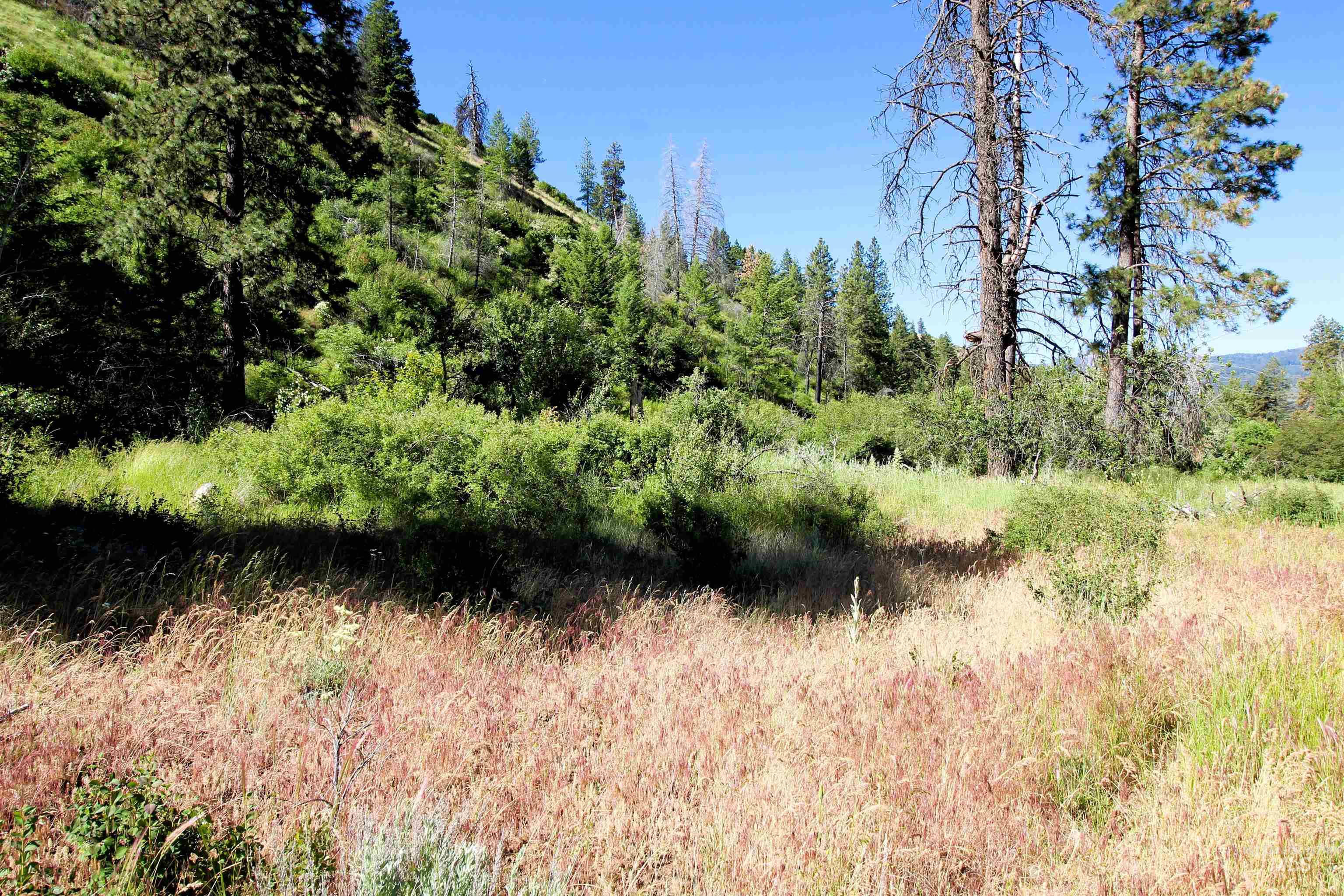 Tbd Advent Gulch Road Cambridge, ID 83610 - Photo 25 of 30