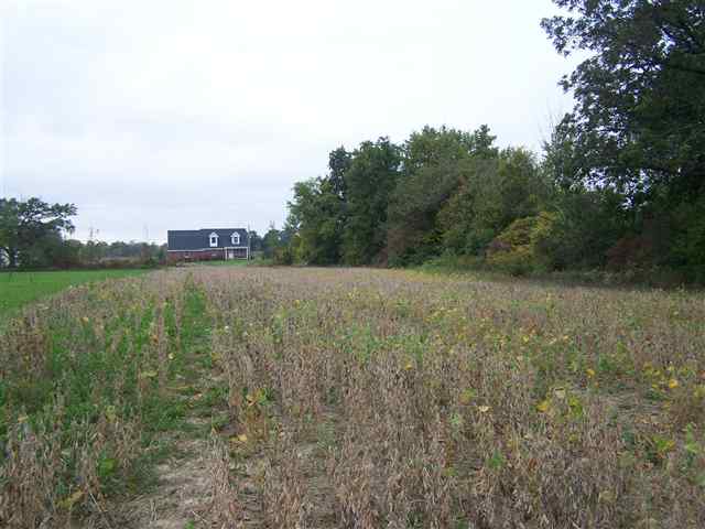 2000 South Morrice Road Owosso, MI 48867 - Photo 1 of 9 31075254.JPG