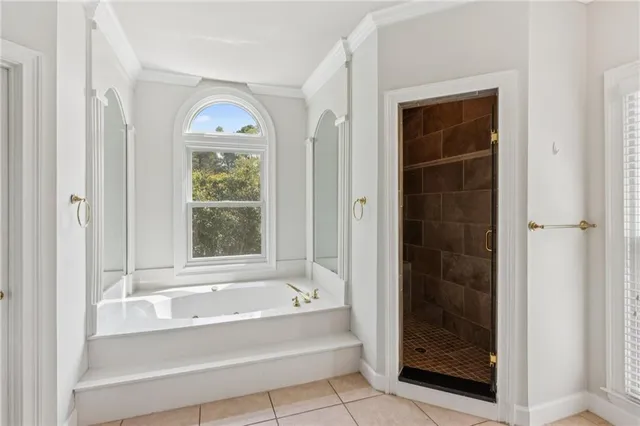 a bathroom with a bathtub and a shower