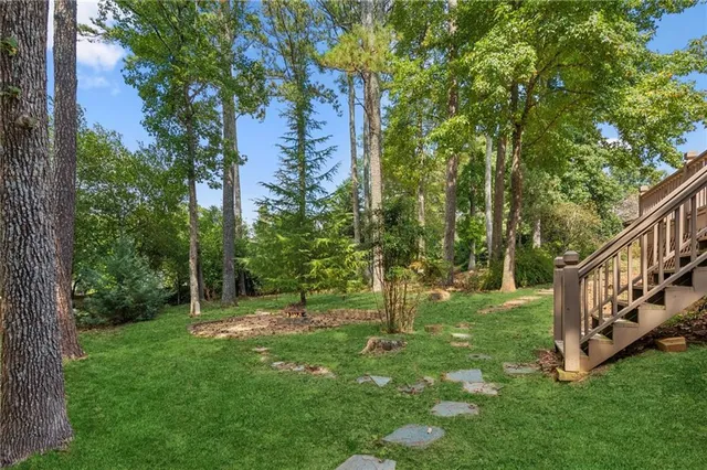 a view of a park with large trees