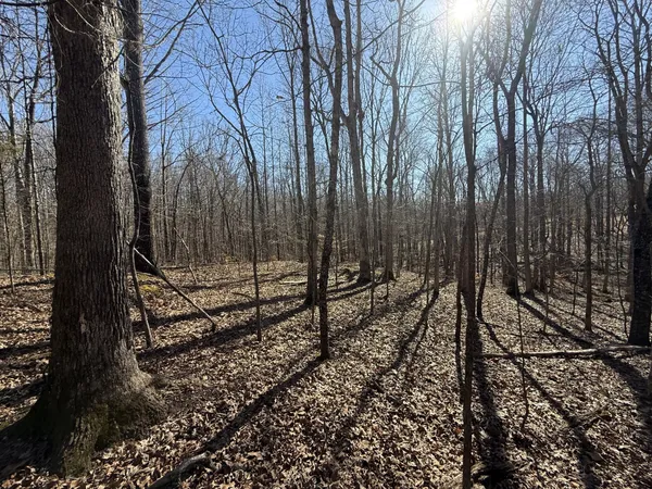 a view of a yard with wooden fence