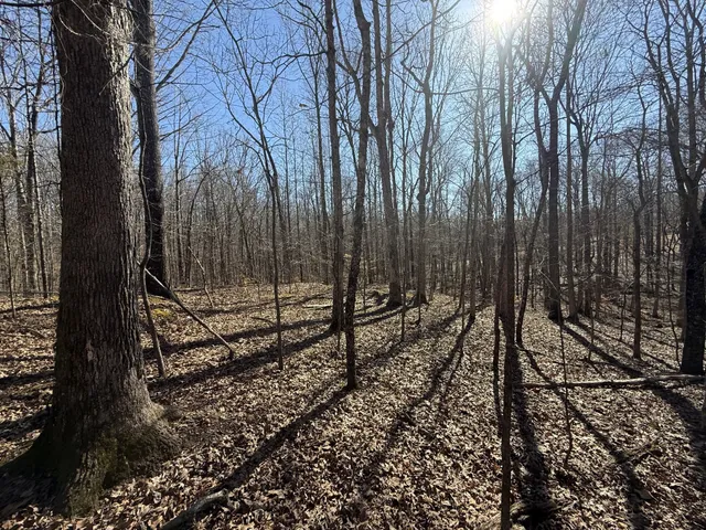 a view of a yard with wooden fence