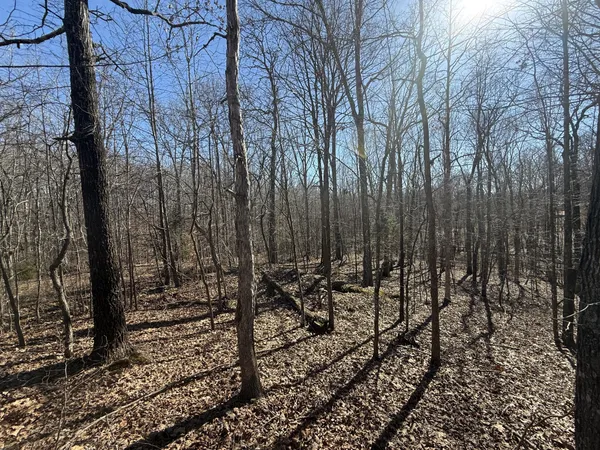 a view of a yard with wooden fence