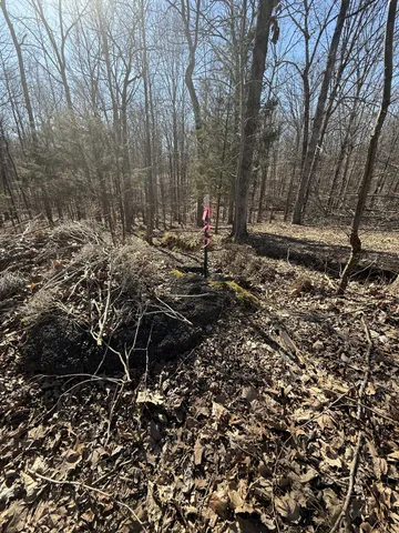 a view of yard with green space
