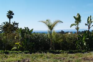 256 Toro Canyon Road Carpinteria, CA 93013 - Photo 1 of 2 View
