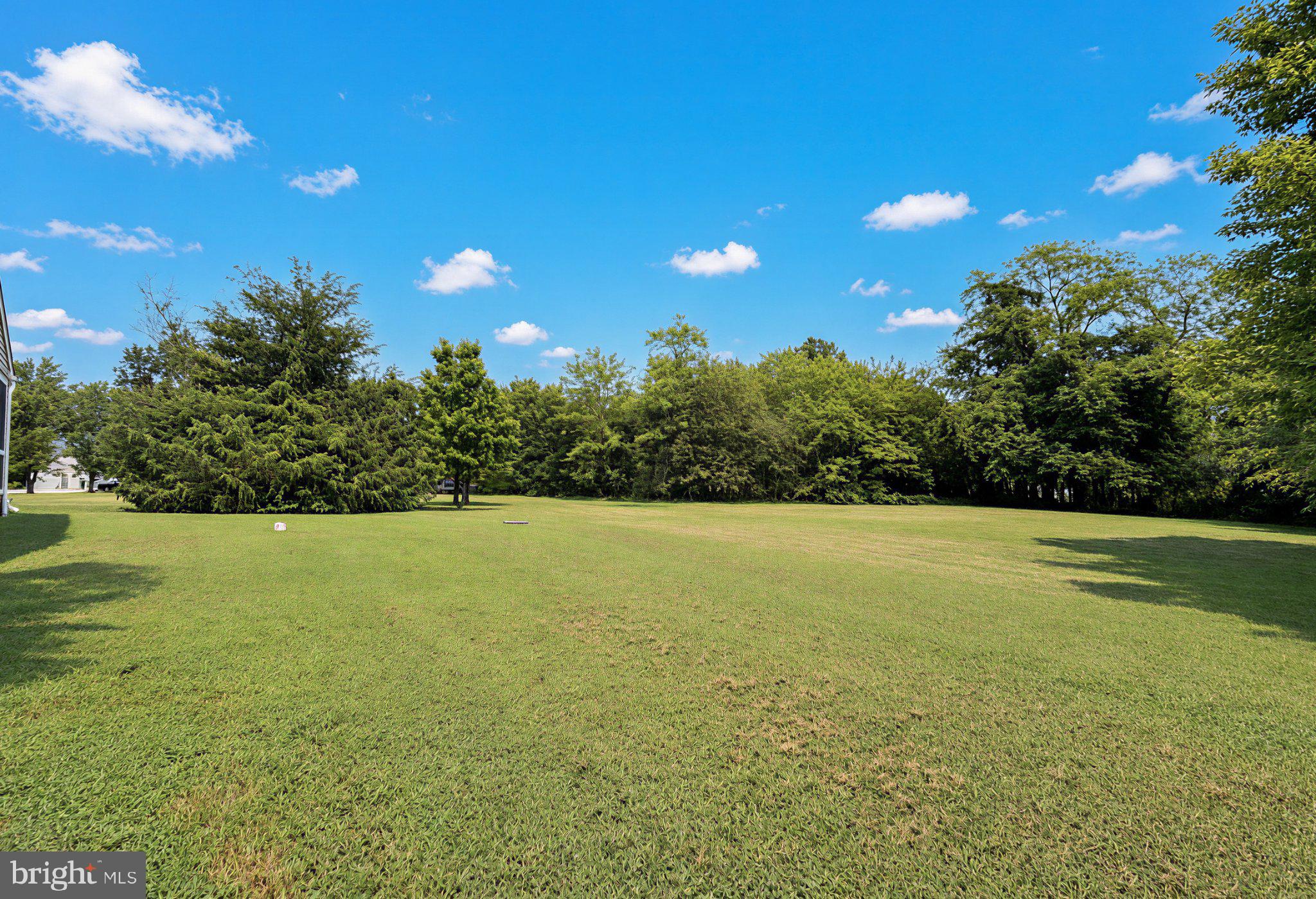 18532 Cherryfield Road Drayden, MD 20630 - Photo 56 of 58 Flat land 1.48 acres