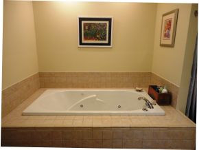 149 Horton Ridge Road Erwin, TN 37650 - Photo 15 of 24 Jetted tub in master bath