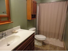 149 Horton Ridge Road Erwin, TN 37650 - Photo 18 of 24 Main level bathroom