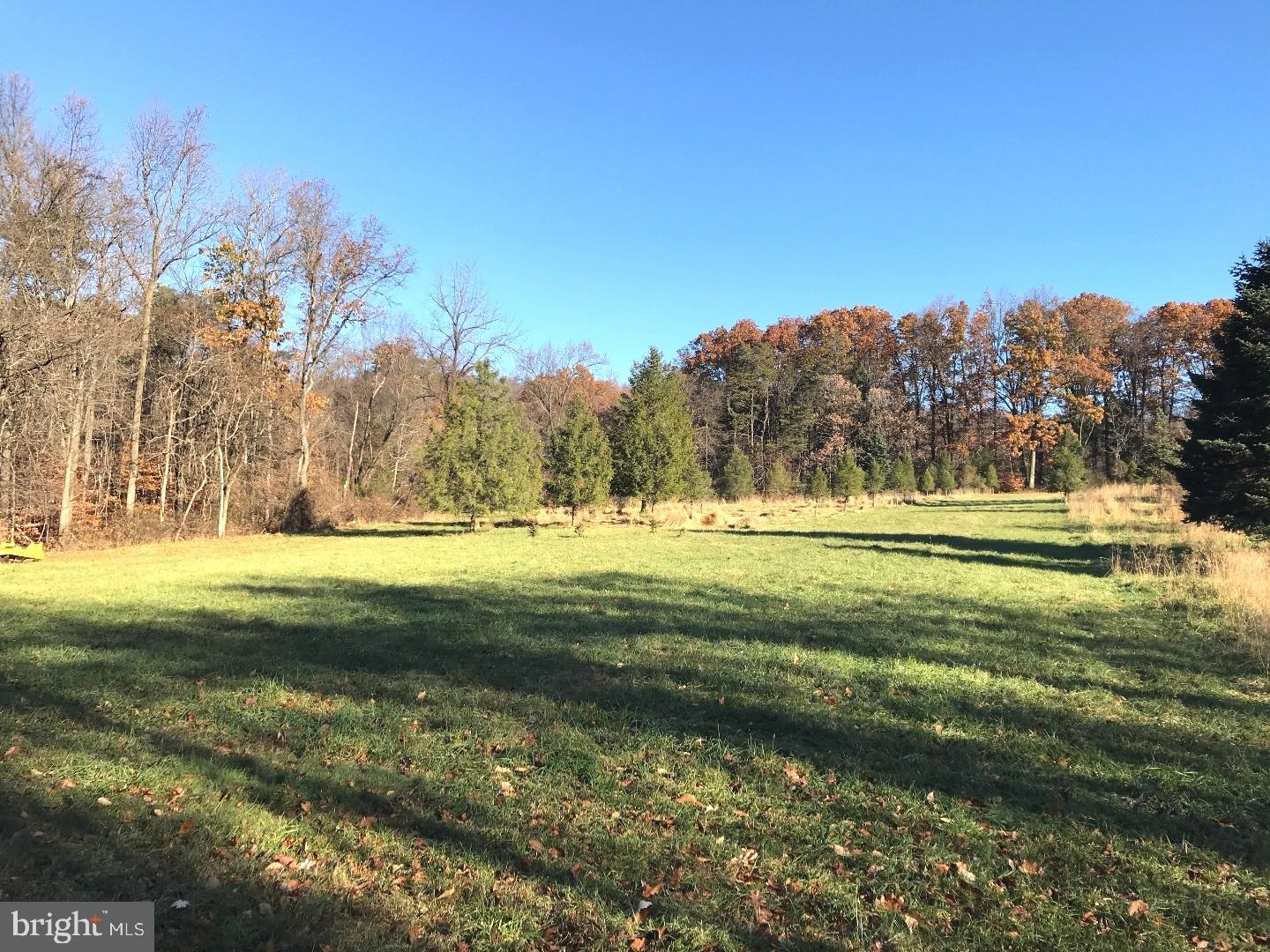 3378 Ridgeway Road Birdsboro, PA 19508 - Photo 2 of 16 Gallery Image 2