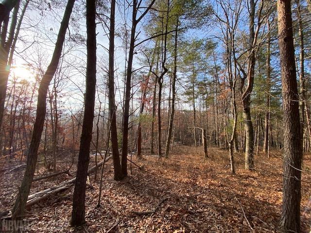 Tbd Flatwoods Road Elliston, VA 24087 - Photo 2 of 13 Gallery Image 2
