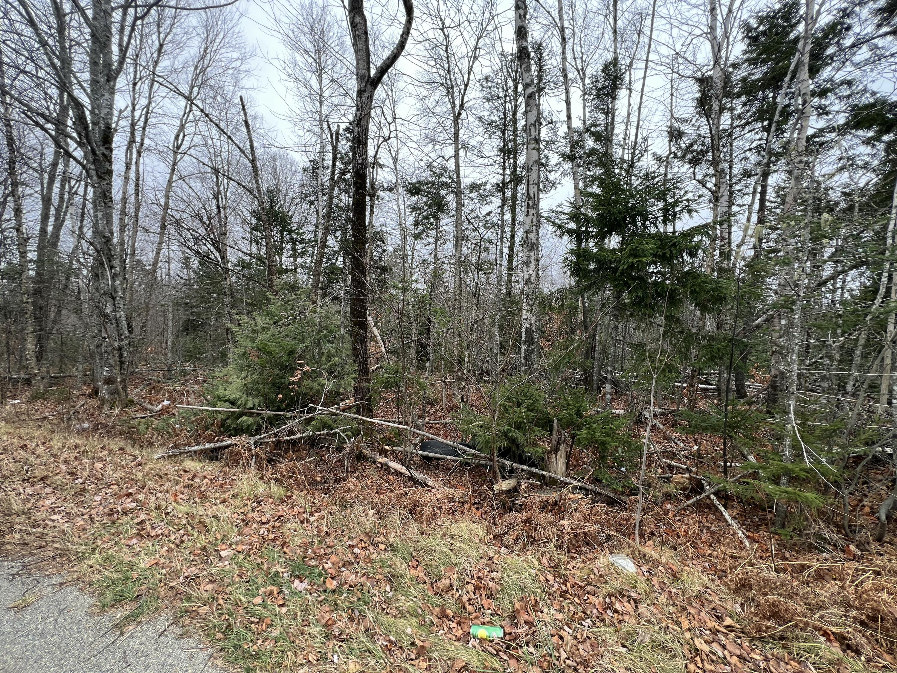 65-008 Airline Road Alexander, ME 04694 - Photo 2 of 7 IMG_5221