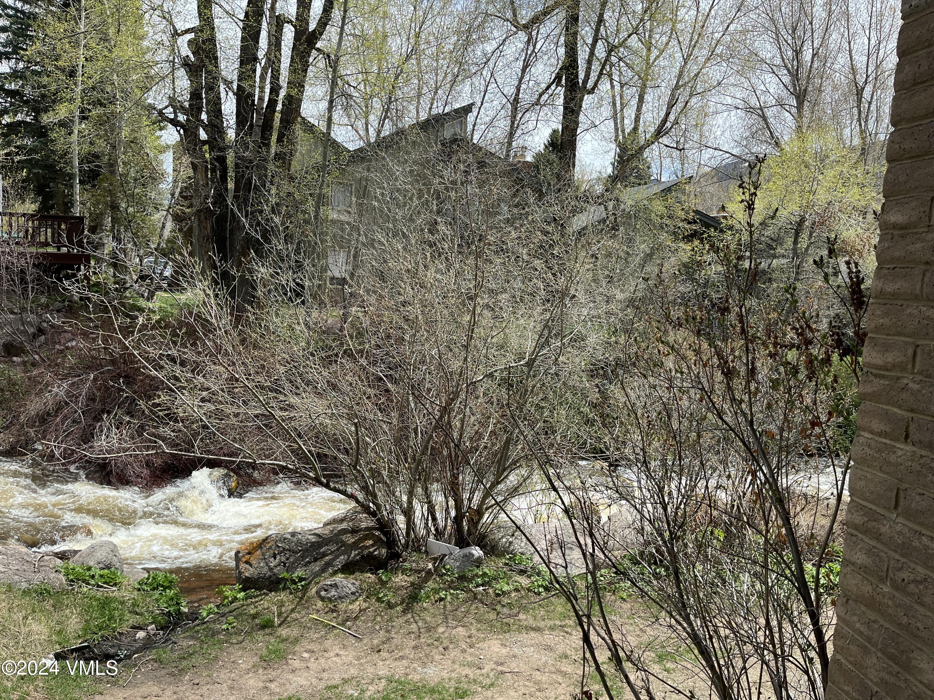 1020 Vail View Drive, Unit 330448 Vail, CO 81657 - Photo 10 of 24 a view of a yard