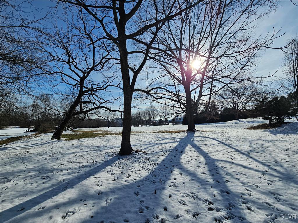 800 Copella Road Bath, PA 18014 - Photo 5 of 43 a view of empty space with trees