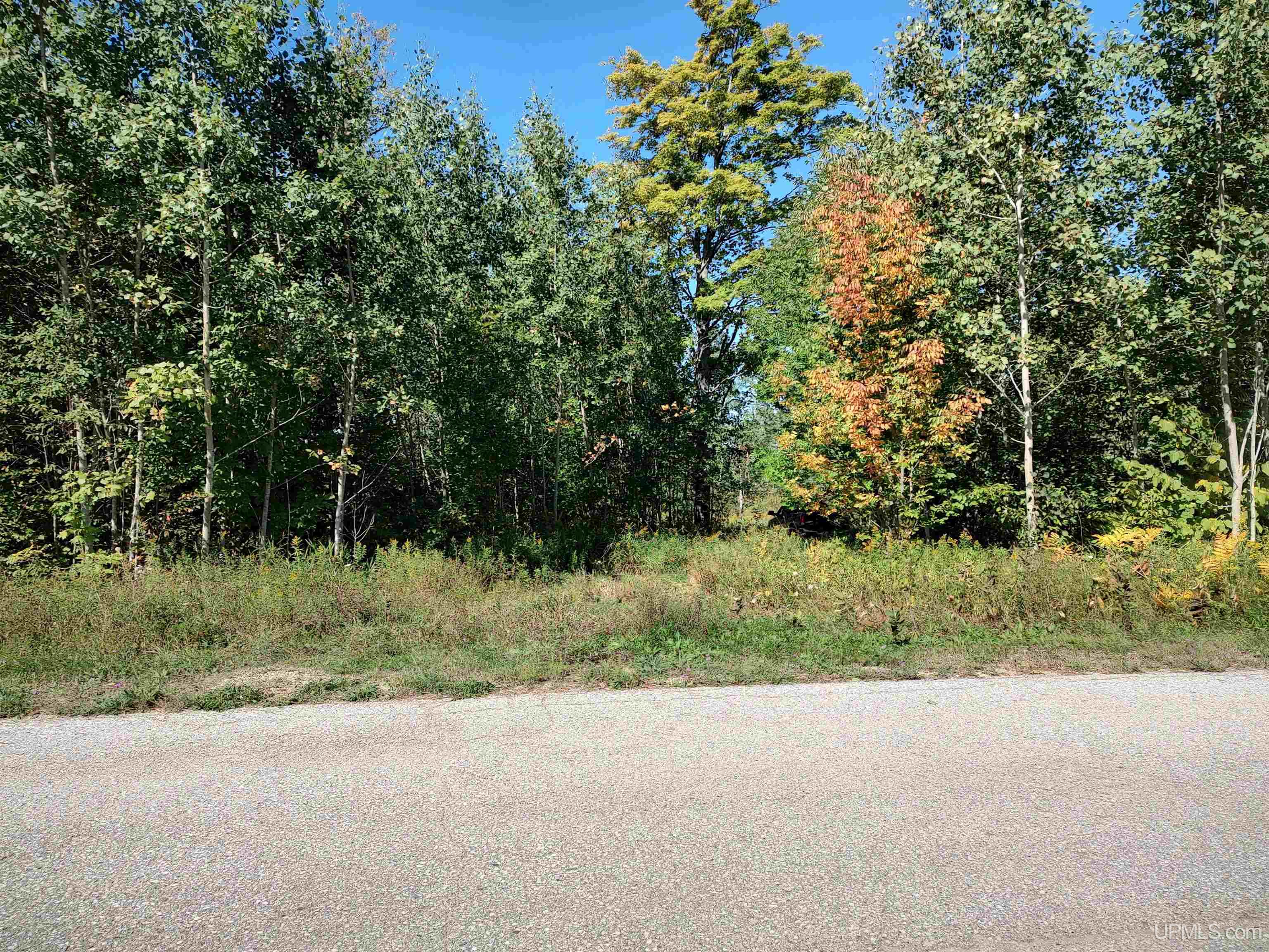 421-acres Lang Road Gulliver, MI 49840 - Photo 4 of 31 Gallery Image 4