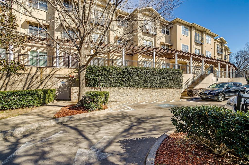 a view of a yard with plants and trees