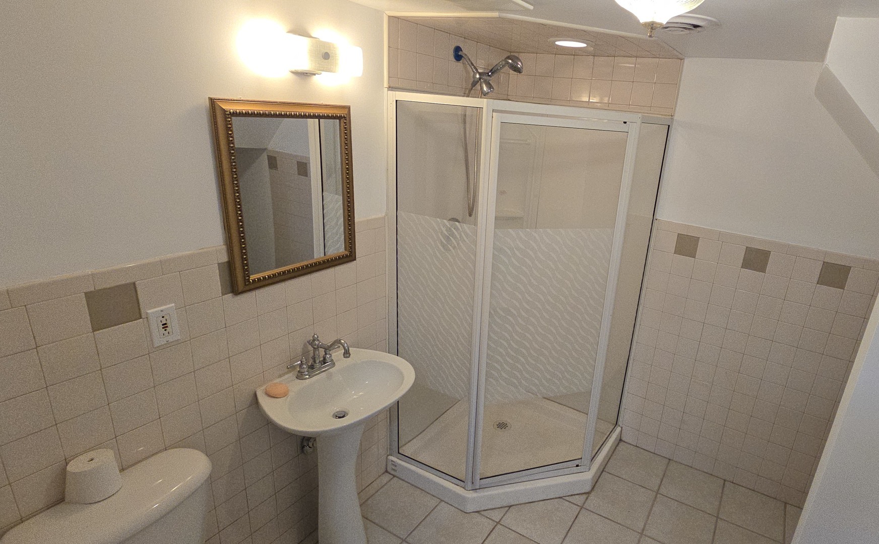 7805 South Reilly Avenue Chicago, IL 60652 - Photo 33 of 53