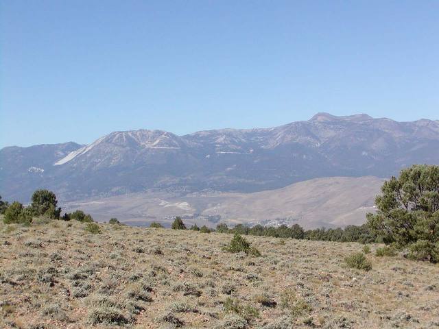 890 Union Road Reno, NV 89521 - Photo 3 of 5 Gallery Image 3