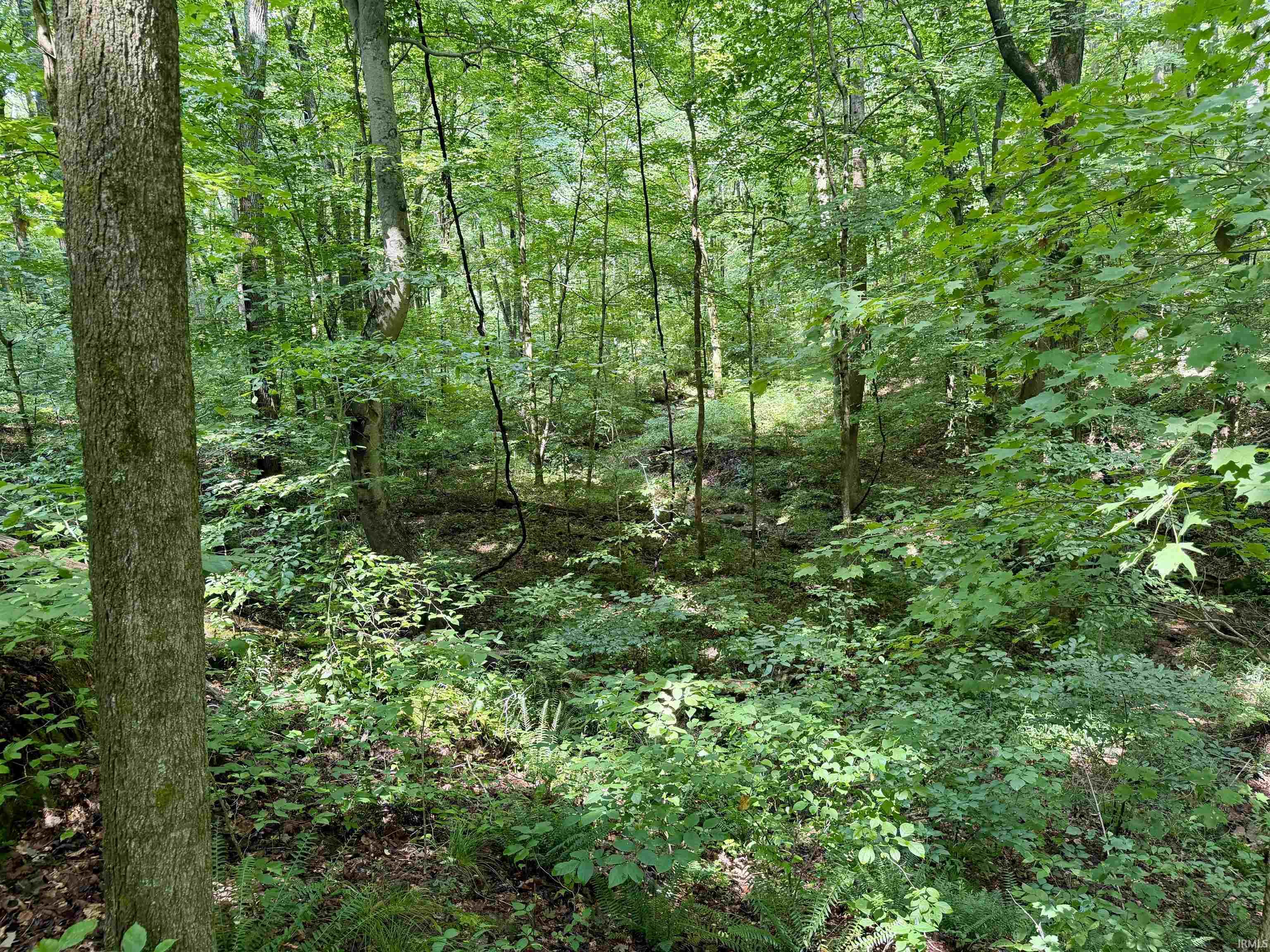 Off Candlestick Road Bristow, IN 47515 - Photo 23 of 30