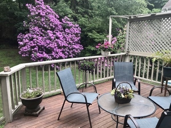 50 Park Lane Newton, MA 02459 - Photo 8 of 20