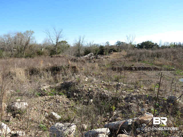 4 Hodge Nursery Road Irvington, AL 36544 - Photo 1 of 1