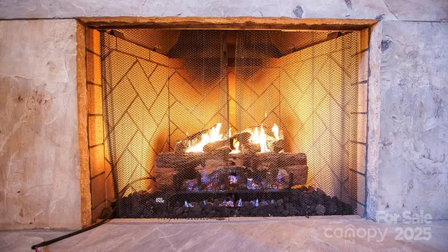a view of a house with a snow in the background