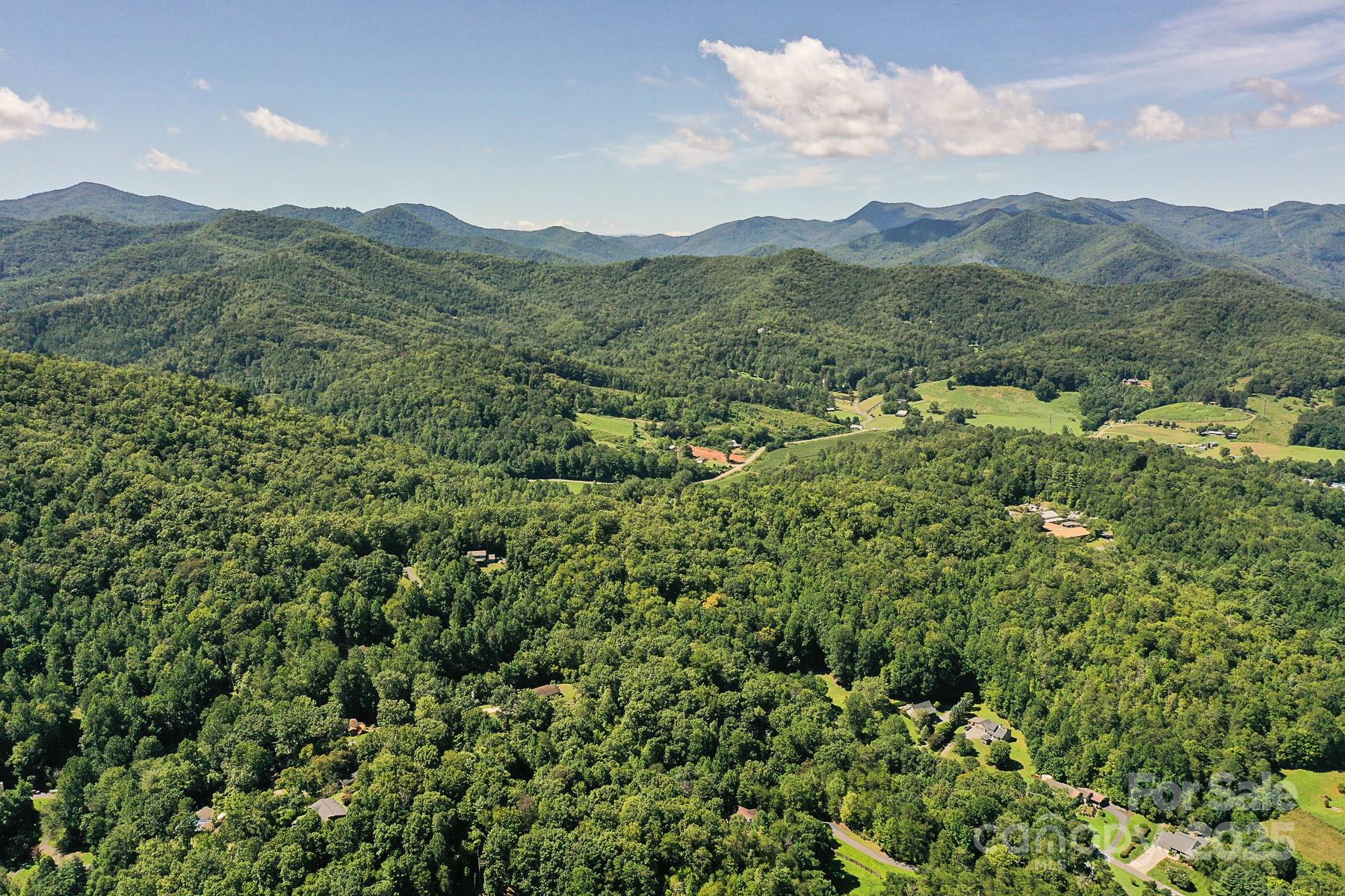 1048 South River Road Sylva, NC 28779 - Photo 37 of 42 a view of a mountain range with lush green forest